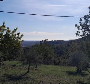 Balade en forêt à Figanières - Figanières - 3