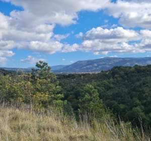 Le causse, Caucalières - Caucalières - 5