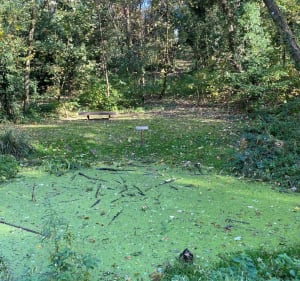 Balade de Yerres jusqu’à Servon - Yerres - 4