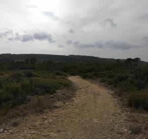 Un coeur de Provence - Éguilles - 4