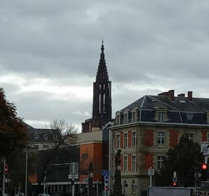 Jolie balade à l'est de Strasbourg - Strasbourg - 3