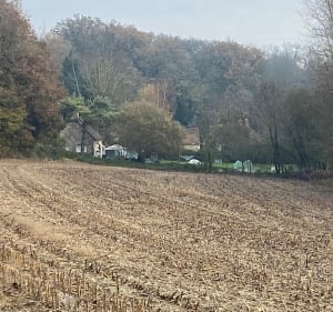 Balade dans notre campagne entre Dangé-Saint-Romain et Vaux - Dangé-Saint-Romain - 3