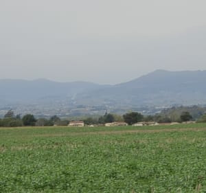 De Francheleins à Messimy en passant par Lurcy et Montmerle - Francheleins - 3