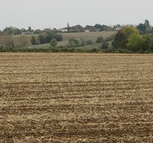 De Francheleins à Messimy en passant par Lurcy et Montmerle - Francheleins - 4
