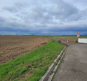 Boucle entre Lipsheim et Geispolsheim à travers champs - Lipsheim - 5
