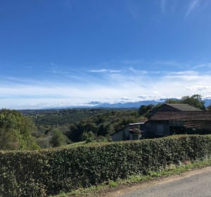 Coteaux et vignobles au départ de Gan - Gan - 4