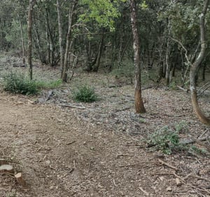 Balade au relais par les Hauts du Vésie et par la chapelle de St-Pancrace - Oraison - 5