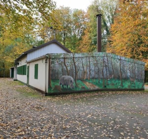 En étoile, dans le bois de Moyeuvre depuis Trehemont - Moyeuvre-Grande - 3