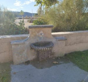 Petite Camargue et Saint Chamas - Saint-Chamas - 5