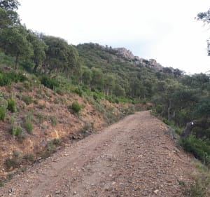 Du massif des Maures à la mer et Port Maravenne à VTT - Pierrefeu-du-Var - 2