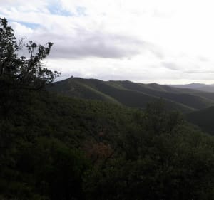 Du massif des Maures à la mer et Port Maravenne à VTT - Pierrefeu-du-Var - 5