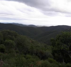 Du massif des Maures à la mer et Port Maravenne à VTT - Pierrefeu-du-Var - 4