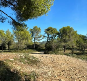Fontvieille et son histoire - Fontvieille - 3