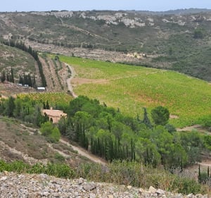 Partir de Cournonsec et parcourir à la Gardiole et Roc d'Anduze - Francis - 3