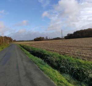 Bouloire au départ de Parigné l'Evêque par Surfonds - Parigné-l'Évêque - 3