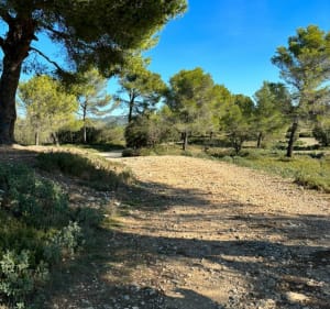 Fontvieille et son histoire - Fontvieille - 4