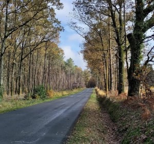 Bouloire au départ de Parigné l'Evêque par Surfonds - Parigné-l'Évêque - 4