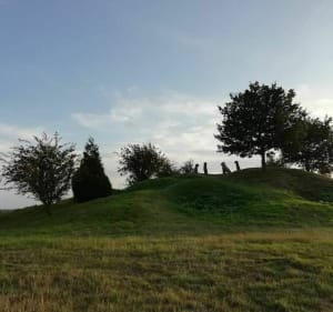 Les 7 Bonnettes - Sailly-en-Ostrevent - 3