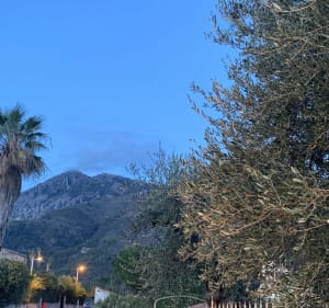 Mounta cala sur Garavan - Vanessa - 3