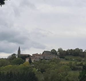 Balade autour de St-Martin-en-Haut par Duerne - Saint-Martin-en-Haut - 4