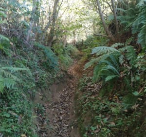 VTT en Barguillère, par St-Pierre de Rivère, Brassac et Burges - Serres-sur-Arget - 5
