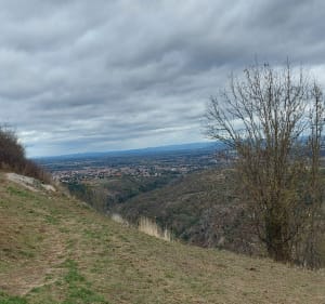 Montée au château d'Essalois par chemins forestiers et les Côtes - Bonson - 4