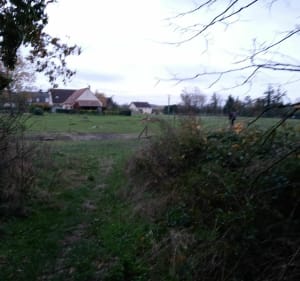 Belle balade dans le bois de l'Oratoire à Vendôme - Vendôme - 3