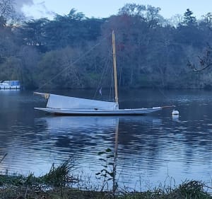 Plage verte à Sucé-sur-Erdre - Sucé-sur-Erdre - 4