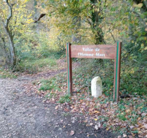Belle balade dans le bois de l'Oratoire à Vendôme - Vendôme - 5