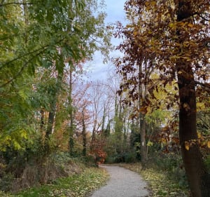La promenade verte - Kingersheim - 5