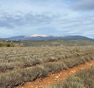 Boucle Roussillon-Lioux -Saint-Lambert- Javon - Saint-Saturnin - Roussillon - 5
