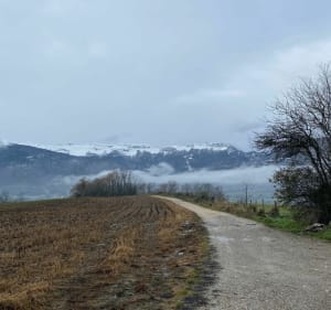 De Gex au Mont Mussy par Mourex - Gex - 4