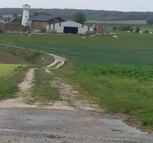 Randonnée à Velennes (80) - Velennes - 5