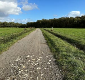 Petite randonnée en forêt et chemins autour du Pont-Chrétien - Le Pont-Chrétien-Chabenet - 3