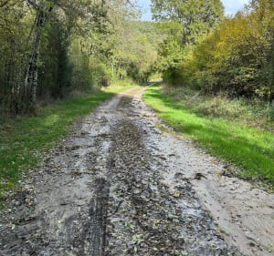 Petite randonnée en forêt et chemins autour du Pont-Chrétien - Le Pont-Chrétien-Chabenet - 4