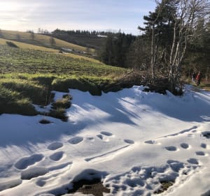 Balade hivernale par le Suc de Beauvert - Saint-Bonnet-le-Froid - 4