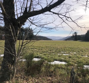Balade hivernale par le Suc de Beauvert - Saint-Bonnet-le-Froid - 3