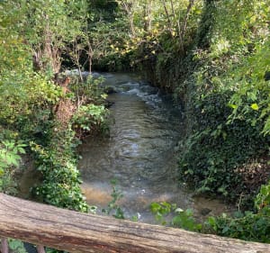 Découverte de la vallée de la Gondoire - Chanteloup-en-Brie - 4