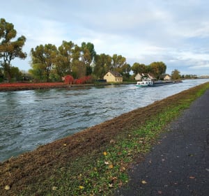 Petite balade le long de la Deule - Auby - 5