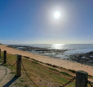 Promenade de reprise après 1 mois de mauvais temps et 5mois - Saint-Pierre-d'Oléron - 3