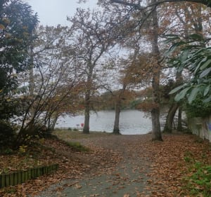 Marche au bord de l'Erdre - Sucé-sur-Erdre - 5
