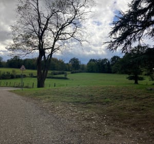 La campagne à la ville…autour de Montrond les Bains - Montrond-les-Bains - 3