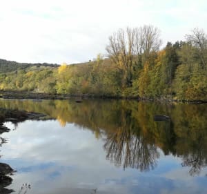 Balade sur les bords de Loire - Saint-Just-Saint-Rambert - 3
