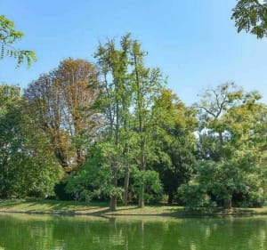 De la Défense aux tours des lacs du bois de Boulogne - Puteaux - 4