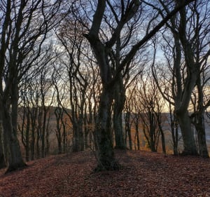 Pelouses calcaires depuis Volkrange - Thionville - 3