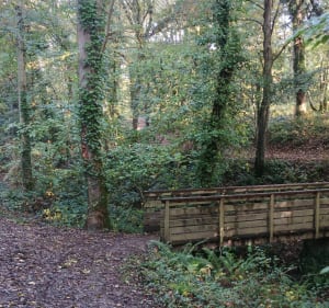 Vallée de l'Odon, bois des amis de Jean Bosco à Gavrus - Gavrus - 5