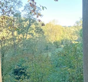 Vallée de l'Odon, bois des amis de Jean Bosco à Gavrus - Gavrus - 4