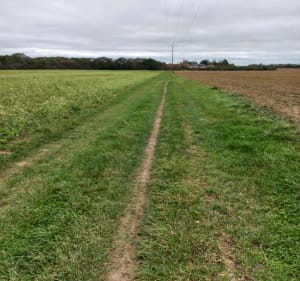 Depart de Guyancourt en passant par le plateau de Saclay - Guyancourt - 4