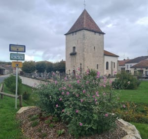 Jolie promenade sur les côtes de Meuse - Sorcy-Saint-Martin - 3