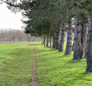 Autour du golf de Caen - Hérouville-Saint-Clair - 4